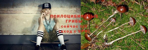 гидропоника Белокуриха