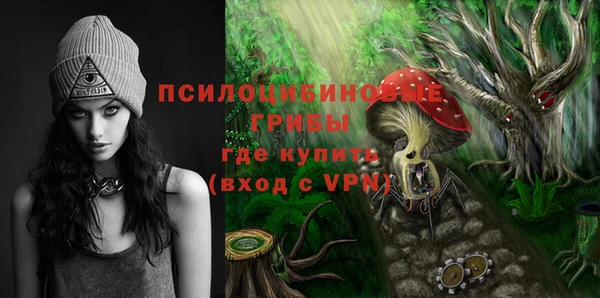 гидропоника Белокуриха