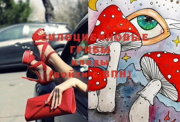 гидропоника Белокуриха