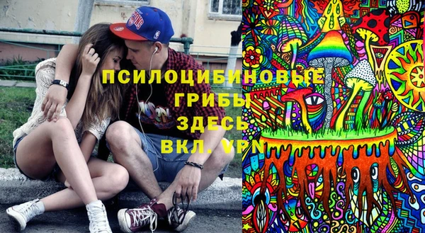 гидропоника Белокуриха