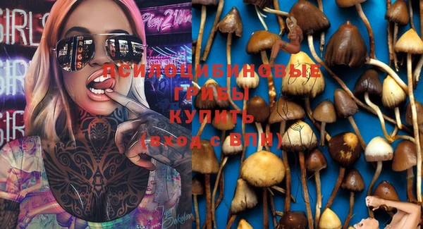 гидропоника Белокуриха
