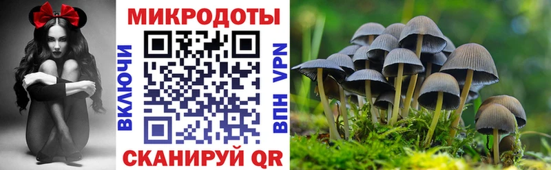 закладки  Беслан  Галлюциногенные грибы ЛСД 