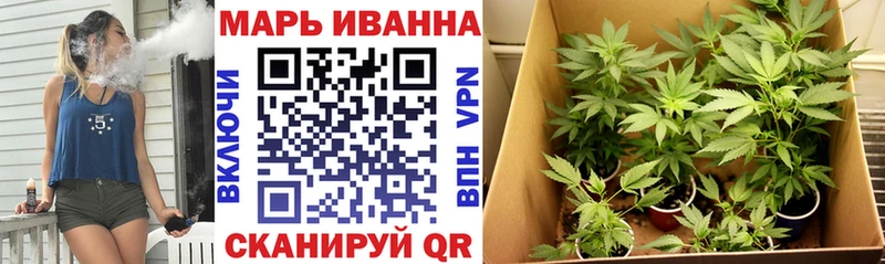 Конопля сатива Беслан